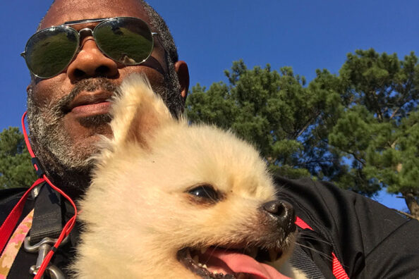 PETS & RESCUES
